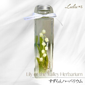  n[oE 闖 XY A[eBtBVt[ vU[uht[ 5 Mtg v[g a  ԃMtg  w   ސE j  N 