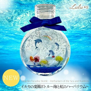 CJ̊y{g `CƓ̃n[oE` hCt[ n[oE C CJ   Mtg v[g t[Mtg IuWF u  CeA G Ă̒u KX{