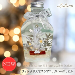 zCg NX}X V}GiK n[oE ~̐X CeA{g zCg Vo[ u G  Mtg v[g ~ ̗d vU[uht[ hCt[  a