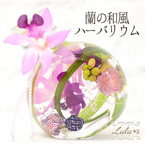 ̘an[oE A[eBE hCt[ vU[uht[ a v[g ̓ ̓ 蕨 Mtg vU EFfBO j w   ސE N V {