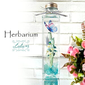 o^tCn[oE A[eBE hCt[ vU[uht[ n[oE Mtg v[g  j a ސEj  N ސE  j  LO 