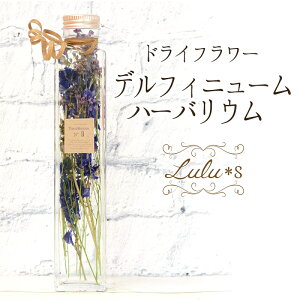 ftBj[ n[oE vU[uht[ hCt[  a v[g Mtg w   ސE H~ CX^f j ސEj  N ސE  j