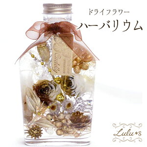 Lulu's Y n[oE ECXL[r vU[uht[ hCt[ {gTCY:14.1cm a7.2×4.7cm 200ml ECXL[r Lulu's-1390