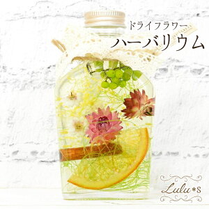 }CK[f n[oE vU[uht[ hCt[ ̓  a v[g 蕨 Mtg vU uU[uh EFfBO j {gTCY:13.5cm a6.5×3