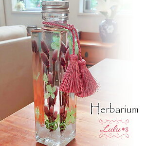 lRiMƂ̃n[oE vU[uht[ hCt[ {gTCY:4cm×s4cm×17cm 150ml Lulu's-1583 Lulus Y