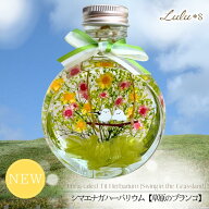 シマエナガ ハーバリウム 草原のブランコ 150ml 大きめ プリザーブドフラワー グリーン 緑 自然 鳥 グッ…