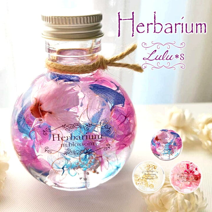 熱帯魚ハーバリウム ネコ瓶Mサイズ 熱帯魚ハーバリウム ネコ瓶Mサイズ  