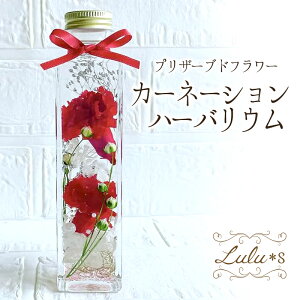 J[l[V n[oE vU[uht[ KN z  ʐ^ J[l[VvU[uh Mtg v[g a j J[l[VAWg J[l[V