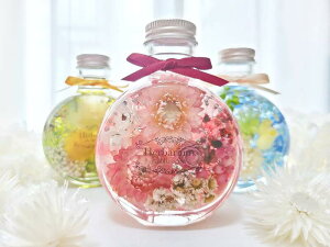 n[oE vU[uht[ hCt[  a v[g Mtg w   ސE H~ CX^f j ސEj  N ސE  j  LO