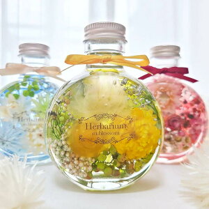 n[oE vU[uht[ hCt[  a v[g Mtg w   ސE H~ CX^f j ސEj  N ސE  j  LO