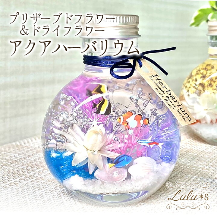 楽天市場】アクアハーバリウム 熱帯魚 プリザーブドフラワー ドライ 