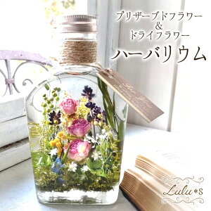 i`K[f n[oE vU[uht[ hCt[ Mtg v[g t[Mtg a j JXj a ԃMtg uU-uht[ n[oE