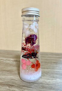 ȓ̃n[oE ˂  Iׂ vU[uht[ hCt[  a v[g Mtg w  ސE H~ CX^f j ސEj  N 