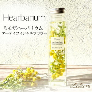 ~Ũn[oE A[eBtBVt[ NX}X vU[uht[ hCt[  a v[g Mtg w   ސE H~ CX^f j 