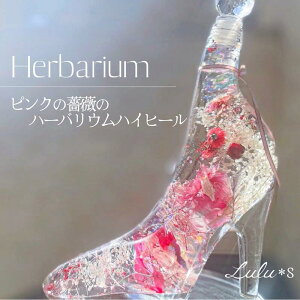 sNKÑn[oEnCq[ n[oE KX̌C VfV[{g Vf vU[uht[ ̓ a v[g Mtg j w   V 