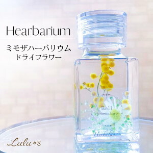 ~U~jn[oE t vU[uht[ hCt[  a v[g Mtg w   ސE H~ CX^f j ސEj  N ސE  j 