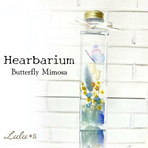 o^tC~Un[oE A[eBE hCt[ vU[uht[ n[oE Mtg v[g  j a ސEj  N ސE  j  