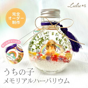 ̋ ̎qA n[oE ybg    vU[uht[ hCt[  a v[g Mtg ybg  ybĝ ybĝ