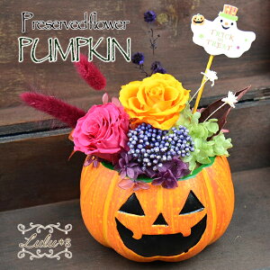 nEB ڂ pvL WbNEI[E^ Jack-o'-Lantern Mtg v[g  j a ސEj  N ސE  j  LO j zj JX