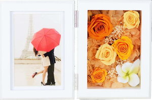 vU[uht[ vA tHgt[ Iׂ4J[ [Y tHgt[ L ʐ^ a  ̓ 蕨 t[ ϗtA ʐ^ v[g Mtg ސE  N 