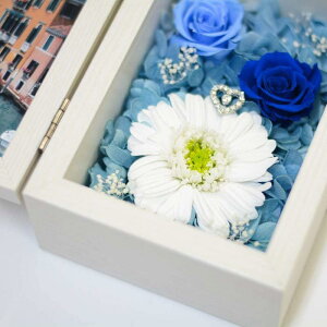 K[x tHgt[ Iׂ4J[ vU[uht[ [Y tHgt[ L ʐ^ a  ̓ 蕨 t[ ϗtA ʐ^ v[g Mtg ސE  N 