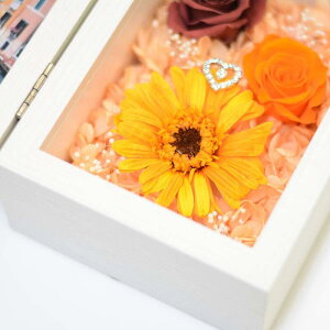 K[x tHgt[ Iׂ4J[ vU[uht[ [Y tHgt[ L ʐ^ a  ̓ 蕨 t[ ϗtA ʐ^ v[g Mtg ސE  N 