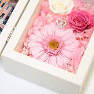 K[x tHgt[ Iׂ4J[ vU[uht[ [Y tHgt[ L ʐ^ a  ̓ 蕨 t[ ϗtA ʐ^ v[g Mtg ސE  N 