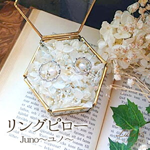 vU[uht[ Os[ Juno`m` Ƃ݂ KXP[X EFfBO uC_ Mtg d   ⍥ Os[ jd  j  