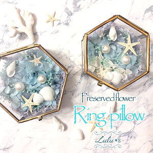 ][gOs[ vU[uht[ hCt[ EFfBO uC_ u[P EFfBOu[P ԉ u[gjA a uC_  v[g 蕨 j 