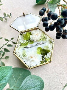 Os[ Iׂ3J[ i O s[ KX P[X EFfBOO w   vU[uht[ EFfBO uC_ Mtg v[g  w֒u