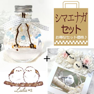 V}GiK n[oE Ebht[ Zbg  ̗d NX}X vU[uht[ hCt[  a v[g ̓ ̓ Mtg w   ސE  