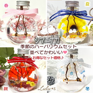 V}GiK n[oE tďH~ 4Zbg  ̗d NX}X vU[uht[ hCt[  a v[g ̓ ̓ Mtg w   ސE  H H