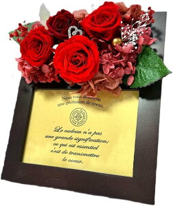 vU[uht[ v~A[Y Ebht[ o KN ԃo  uU[uh t[ [Y tHgt[ ʐ^ ʐ^ v[g Mtg a 蕨 aj