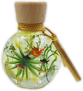 a n[oE  vU[uht[ hCt[ ̓ Mtg a v[g  CX^f  av[g ΂ ԃMtg  t[ 