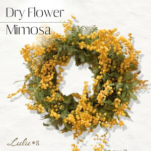 hCt[ ~U[X i`[X TCY:15cm×5cm ~U [X  hCt[ a v[g ̓ ̓ 蕨 Mtg oYj Lulu's-1315 Lulus Y