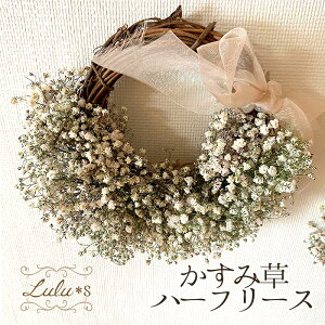 hCt[ ݑ[X i`[X ~U [X  a v[g ̓ ̓ Lulu's-1405 Lulus Y