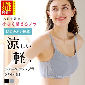 【マラソン限定29%オフ！蒸れにくいシアーメッシュ】胸を小さく見せるブラ 胸が大きくて諦めていた服がすっきり！ ブラジャー 大きいサイズ 軽い 通気性 メッシュ 胸元スッキリ 小さく見えるブラ 着痩せブラ 和装ブラ 小さく見せるブラ ルルスマートブラ ちいさく見せるブラ