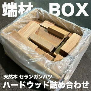 �Z�����K���o�c �[�� �n�[�h�E�b�h �V�R�� ���� �A�E�g���b�g�i �� �H��p �n��p ���R����