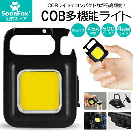 小型ライト 2個セット懐中電灯 LED 投光器 COB 作業灯 500mah USB充電式 キーホルダー式 超ミニ 45g 小型 軽量 高輝度 4種点灯モード IPX4防水 強力磁石付き 緊急照明用 アウトドア用 釣り キャンプ 登山 ランニング 防災 地震