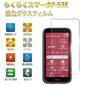 �炭�炭�X�}�[�g�t�H�� F-53E �K���X�t�B���� �炭�炭�X�}�[�g�t�H�� F-53E �ی�t�B���� �����K���X���{���Ɏq�f�� �Ռ��z�� �\��t���ȒP �w��h�~ ��U�h�~ �������� F-53E �p�� �t�C���� 