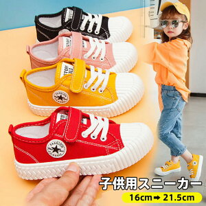 LbY Xj[J[ j̎q ̎q jp ʊw WjA y  c V[Y qC ʋC  qǂ X|[cC ʉ ~  t  H n YbN K[Y V[