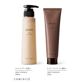【2点セット】バイカルテ シャンプー CH+ 280ml・トリートメントMS+ 250g【ホーユー / hoyu / BYKARTE 】