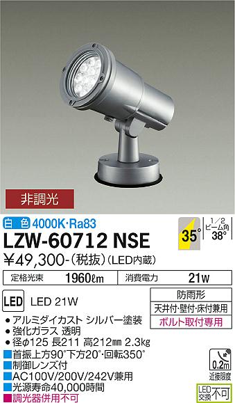 新入荷アイテム 大光電機 アウトドアスポットライト LZW60712NSE 工事