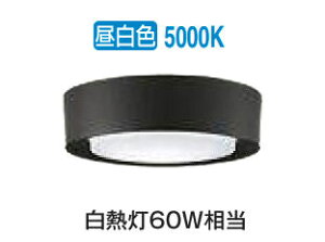 ����d�@ �V�[�����O�_�E�� DCL42141WG �����F ���M��60W���� �H���K�v