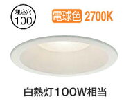 大光電機 屋内・屋外兼用ベースダウンライト DDL6034YWG COBタイプ 調光 Φ100 電球色 白熱灯100W相当 工…