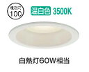 大光電機 屋内・屋外兼用ベースダウンライト DDL6132AW COBタイプ Φ100 温白色 白熱灯60W相当 工事必要