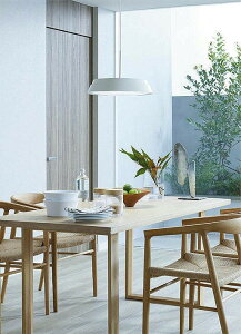 ����d�@ �y���_���g���C�g DPN41973E ���F���� ~8�� �����R���t