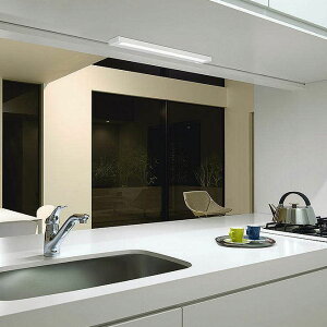 ����d�@ LED�L�b�`�����C�g DCL40245W �H���K�v