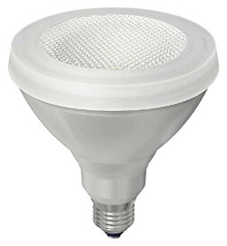 大光電機 ランプ DP38669WE（東芝OEM商品）