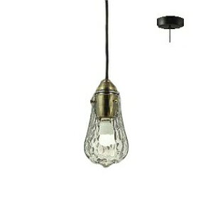 ���G���g���[�Ń|�C���g5�{ 1��9��20:00~16��1:59~������d�@ �m���y���_���g DPN40009Y �H���K�v